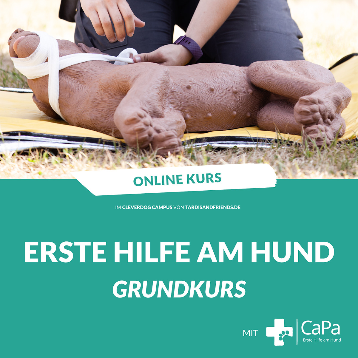 Zum Erste-Hilfe-Online-Kurs
